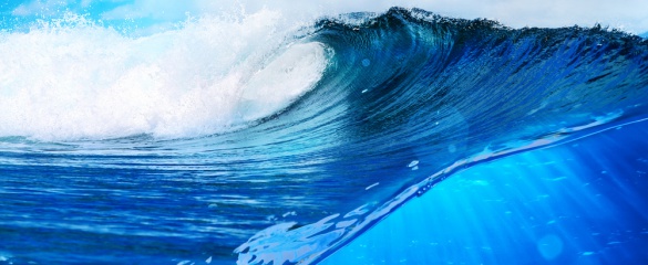 Harnessingthepowerofthetide (2)