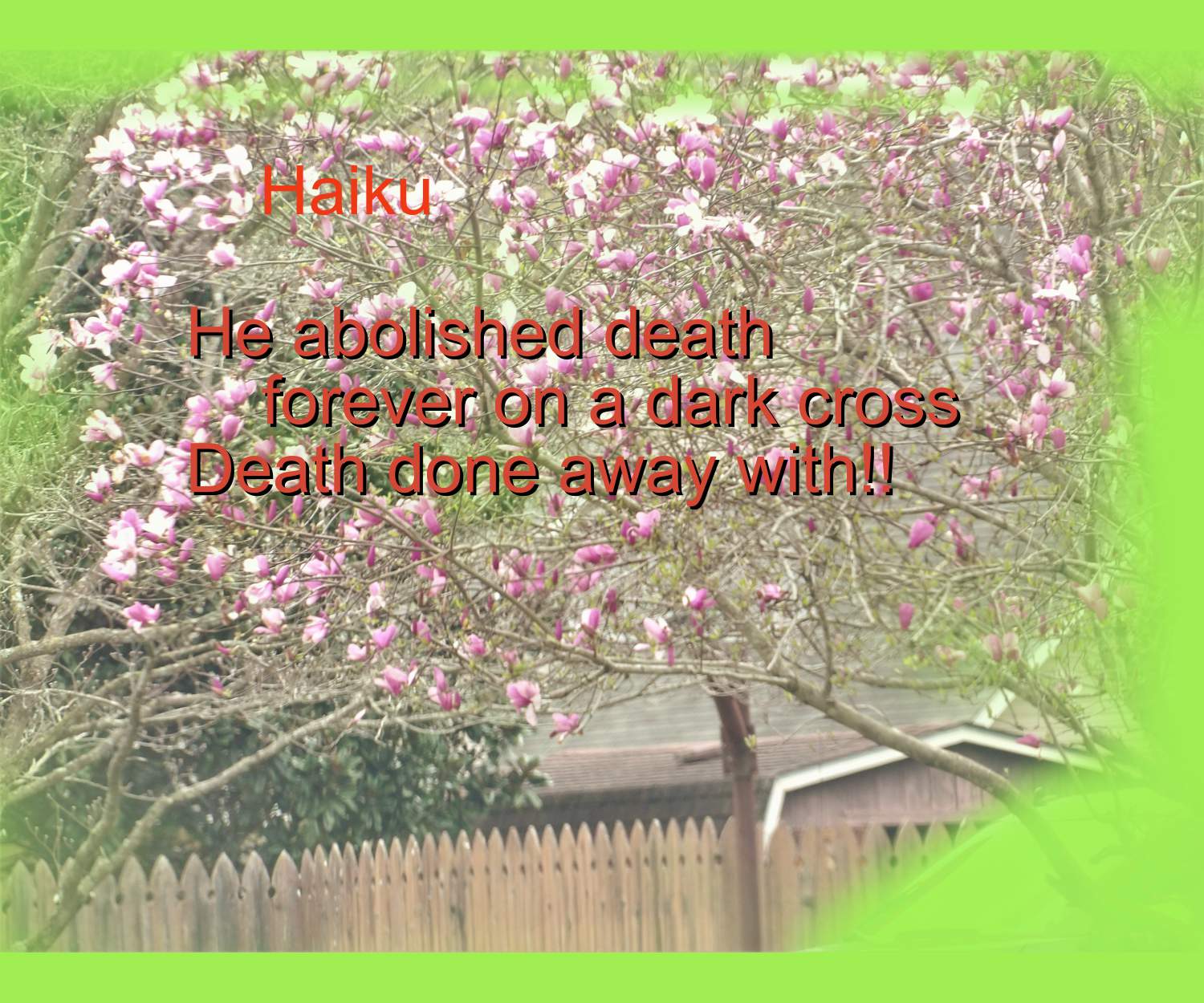 Haiku2