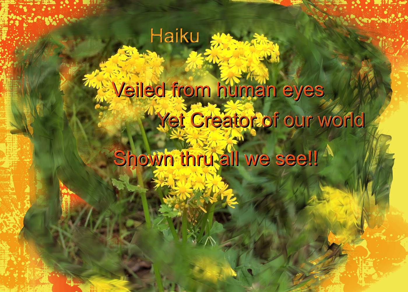 Haikufortoday